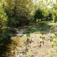 3647 E Coweta Falls Rd, Harrison, AR 72601 ID:1169821
