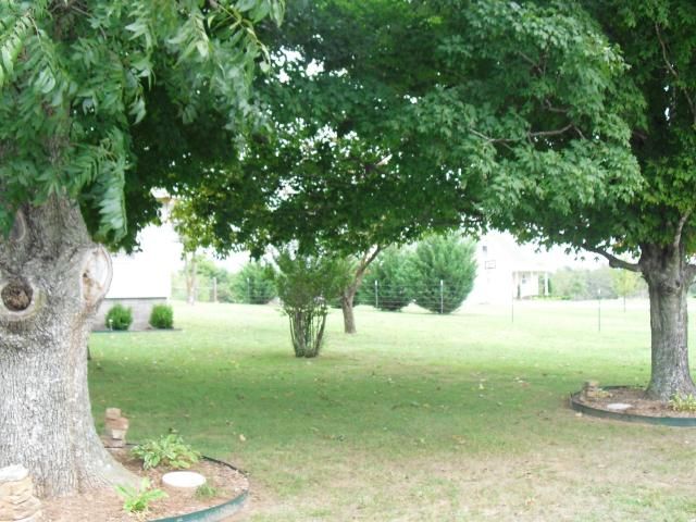 4557 E Maxi Camp, Harrison, AR 72601