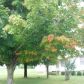 4557 E Maxi Camp, Harrison, AR 72601 ID:1166523