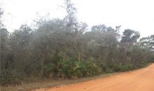 MCCORD RD Lake Wales, FL 33898