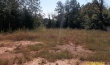 Lot 10 Hollingsworth Rd Covington, GA 30016