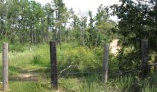 40 acres S GR 715 Paragould, AR 72450