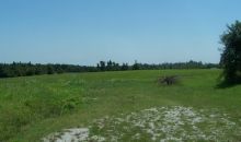 000 Mt Carmel #2 Paragould, AR 72450