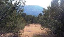5695 N Wilshire Dr Williams, AZ 86046