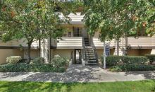 234 Stonegate Ci San Jose, CA 95110