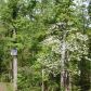 Lot 39 Ferncrest Estates, Little Rock, AR 72223 ID:1093755