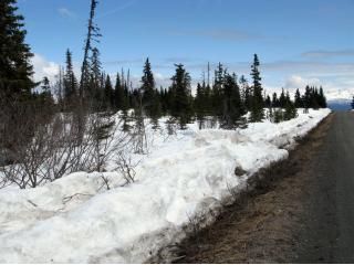 L2 B3 Mossberry Avenue, Homer, AK 99603