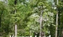 112 W 23rd St Little Rock, AR 72206