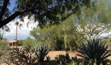 6445 E Wildcat Drive Cave Creek, AZ 85331