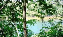 00 Russ Road Norfork, AR 72658
