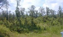 LTS 5,6,7 Hilltop Lane Ln Norfork, AR 72658