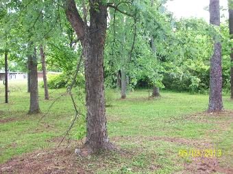 769 Mauldin Rd NW, Calhoun, GA 30701