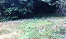 12973 ANNES WY Rogers, AR 72756
