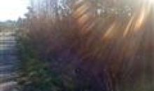 Lot 2A Ridgewood Lane Harrisburg, AR 72432
