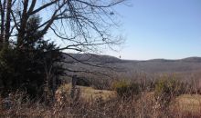 2060 Browntown Spring Rd Witts Springs, AR 72686