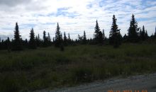 L5 Westway Road Kenai, AK 99611