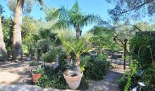 7102 E Larkspur Drive Scottsdale, AZ 85254