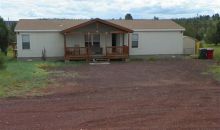 1053 Lone Pine Dam Rd Show Low, AZ 85901