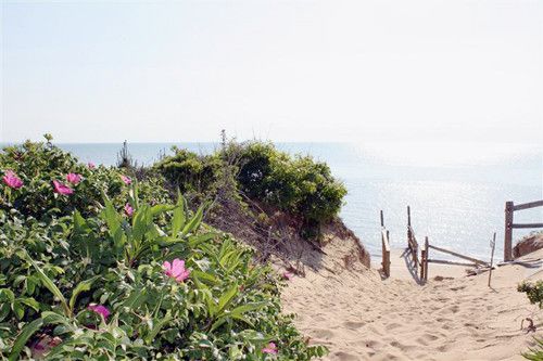 445 Turnip Field Rd, Eastham, MA 02642