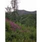 L25 Cache Creek Residential, Nikolski, AK 99638 ID:1079583