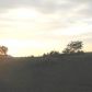 1332 Rossi Road, Mountain Home, AR 72653 ID:1160771