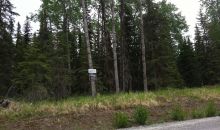 36080 Tremolo Circle #5 Soldotna, AK 99669