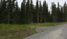 36111 Tremolo Circle #6 Soldotna, AK 99669