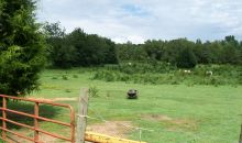 CR 3251, Clarksville, 72830 Clarksville, AR 72830