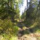 38150 Golden Rod Loop, Nikiski, AK 99635 ID:1079069