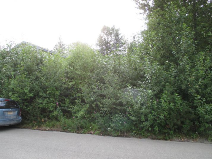 6030 Staedem Drive, Anchorage, AK 99504