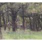 99 Davis Ln, Columbus, MT 59019 ID:328546