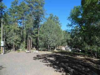 5106 Cub Lake Road, Show Low, AZ 85901