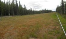 Lot 1 Timber Trail North Pole, AK 99705