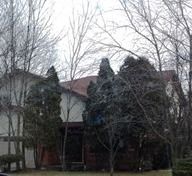 24207 S Walden Ln, Crete, IL 60417
