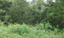 Lot 10 Cr 274 Mountain Home, AR 72653