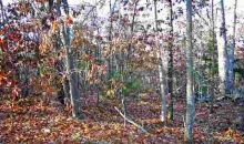 Lot 10 & 11 Blackjack Trail Trl Mountain Home, AR 72653