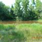 Hwy 64, Lamar, AR 72846 ID:1155758