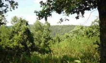 00 Mc 6061 Flippin, AR 72634