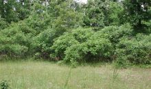 Lot #7, Big Oak Estates Cherokee Village, AR 72529