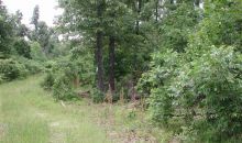 Lot #5 Big Oak Estates Cherokee Village, AR 72529