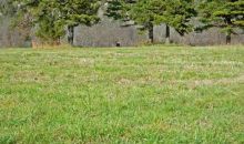 405 Cr 101 Norfork, AR 72658