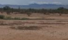 000 E 251st Avenue Wittmann, AZ 85361