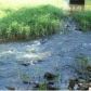 Hwy 359, Lamar, AR 72846 ID:1155724