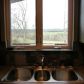 202 CR 3670, Lamar, AR 72846 ID:1155717