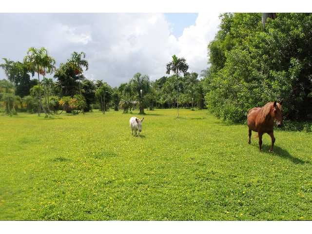 10940 SW 48 ST, Fort Lauderdale, FL 33328