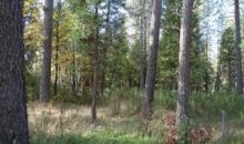 16797 Old Downieville Highway Nevada City, CA 95959