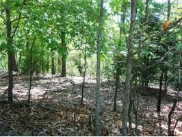 00 NE Ridge Rd, Eureka Springs, AR 72631