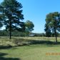 428 CR 3731, Lamar, AR 72846 ID:1155817