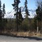 L32 Langille Road, Cooper Landing, AK 99572 ID:1171147