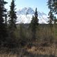 L32 Langille Road, Cooper Landing, AK 99572 ID:1171148